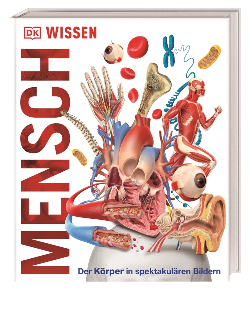 DK Wissen. Mensch main product photo