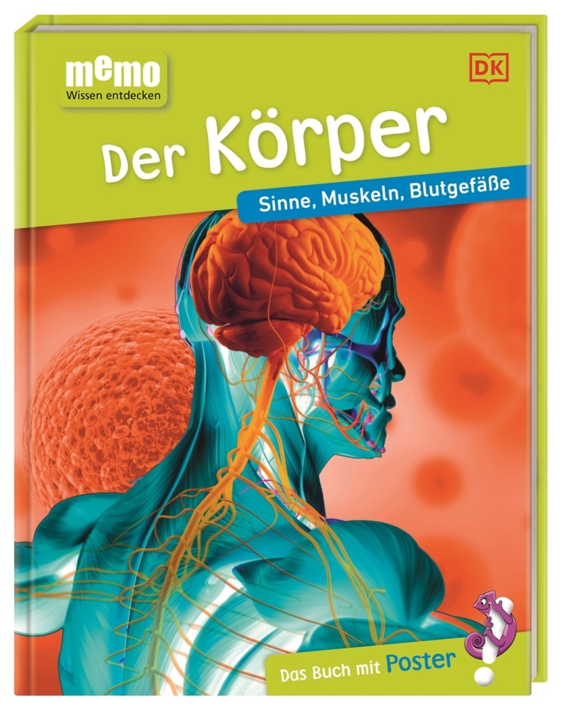 memo Wissen entdecken. Der Körper main product photo