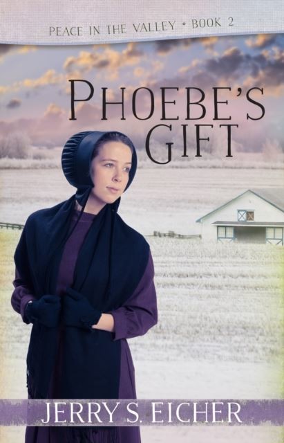 Phoebe's Gift main product photo