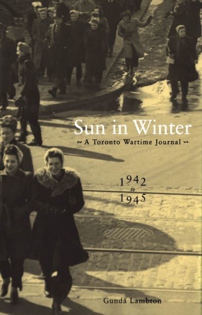 Sun in Winter main product photo