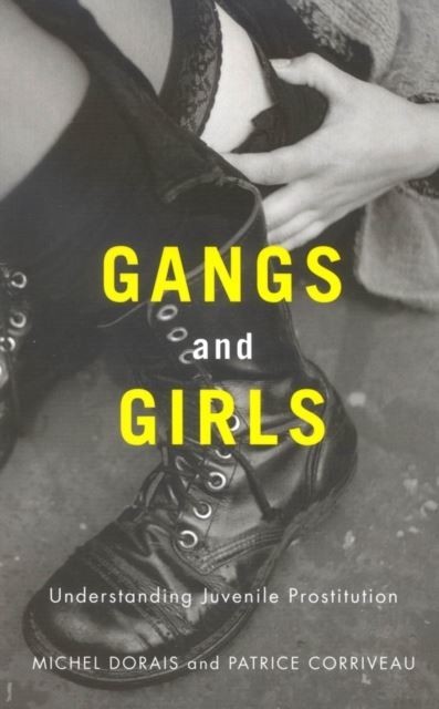 Gangs and Girls main product photo