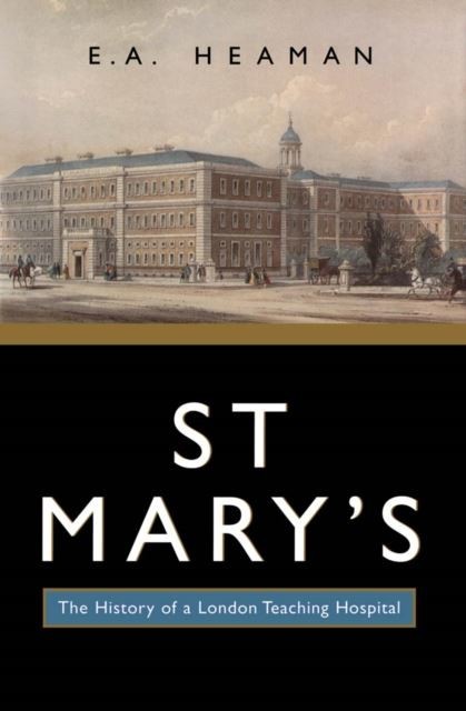 St Mary's main product photo