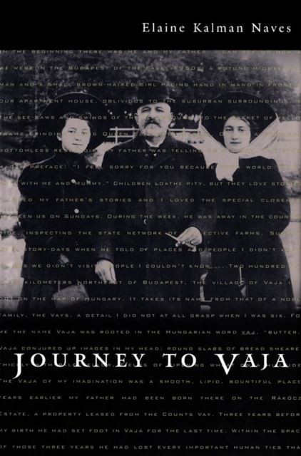 Journey to Vaja main product photo