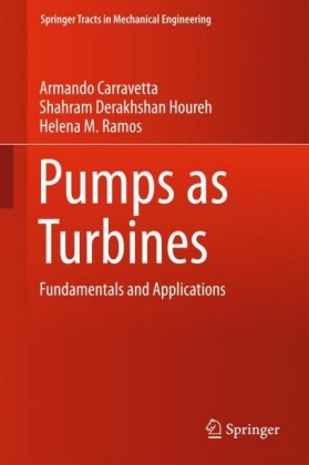 Pumps as Turbines