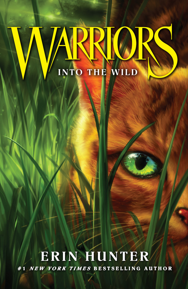 Into the Wild main product photo