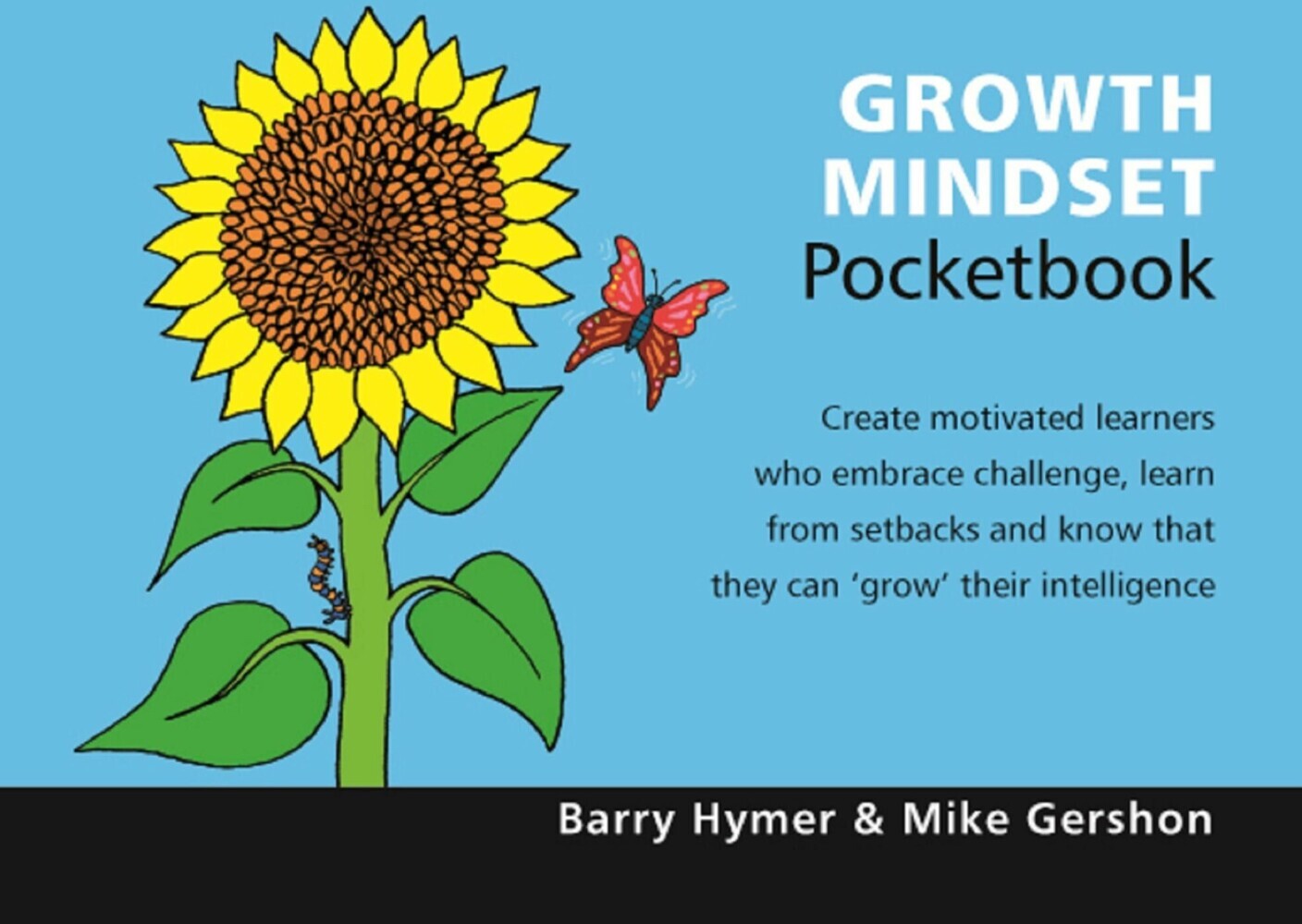 Growth Mindset Pocketbook main product photo