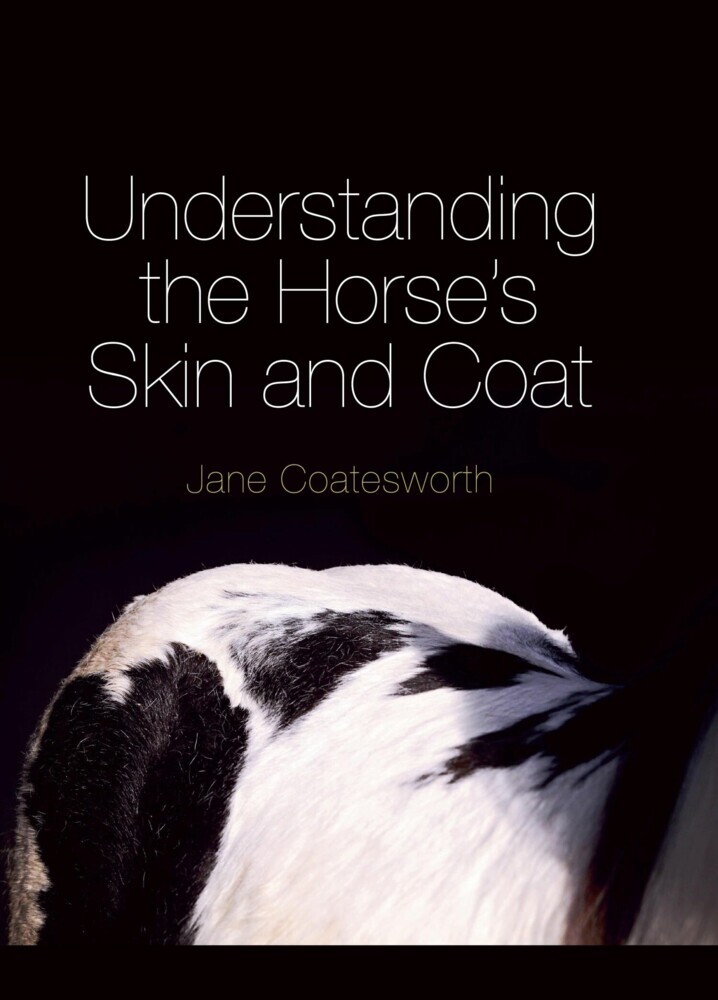 Understanding the Horse's Skin and Coat main product photo