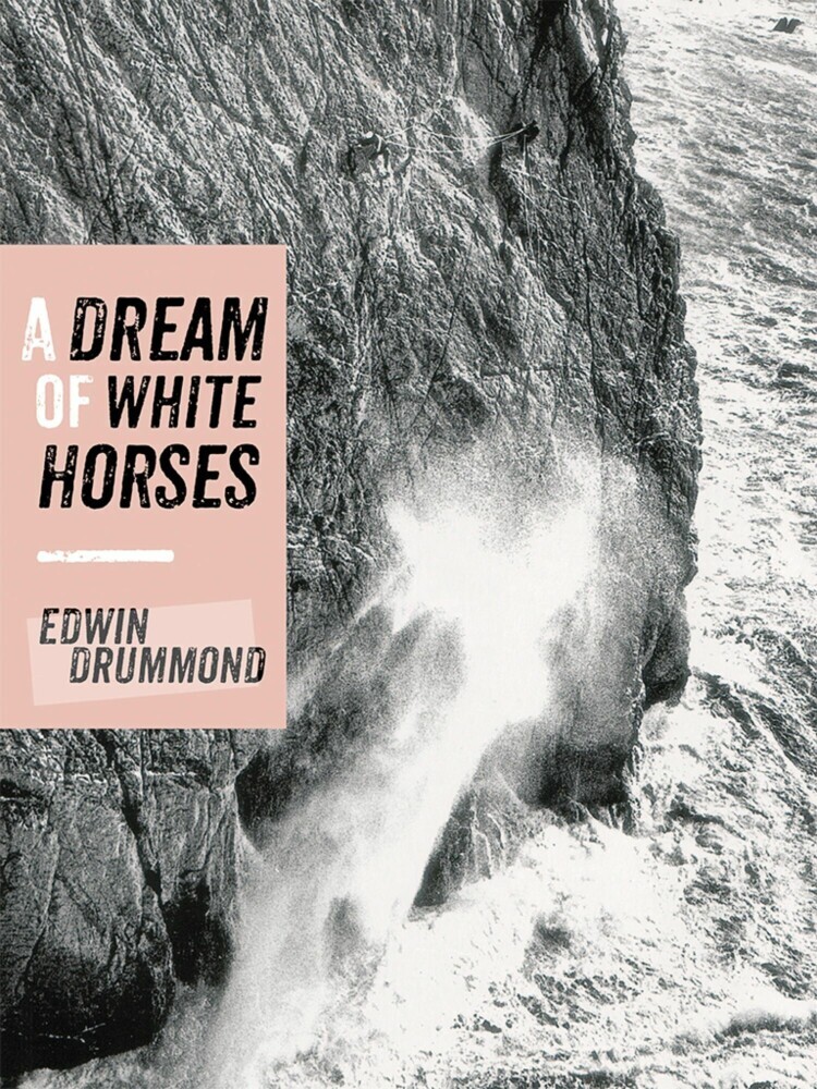 A Dream of White Horses main product photo
