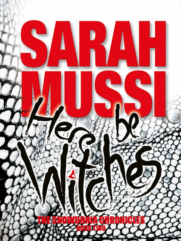 Here Be Witches main product photo