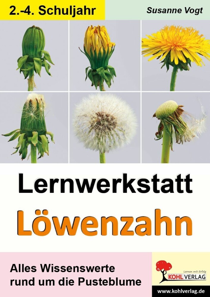 Lernwerkstatt Löwenzahn main product photo