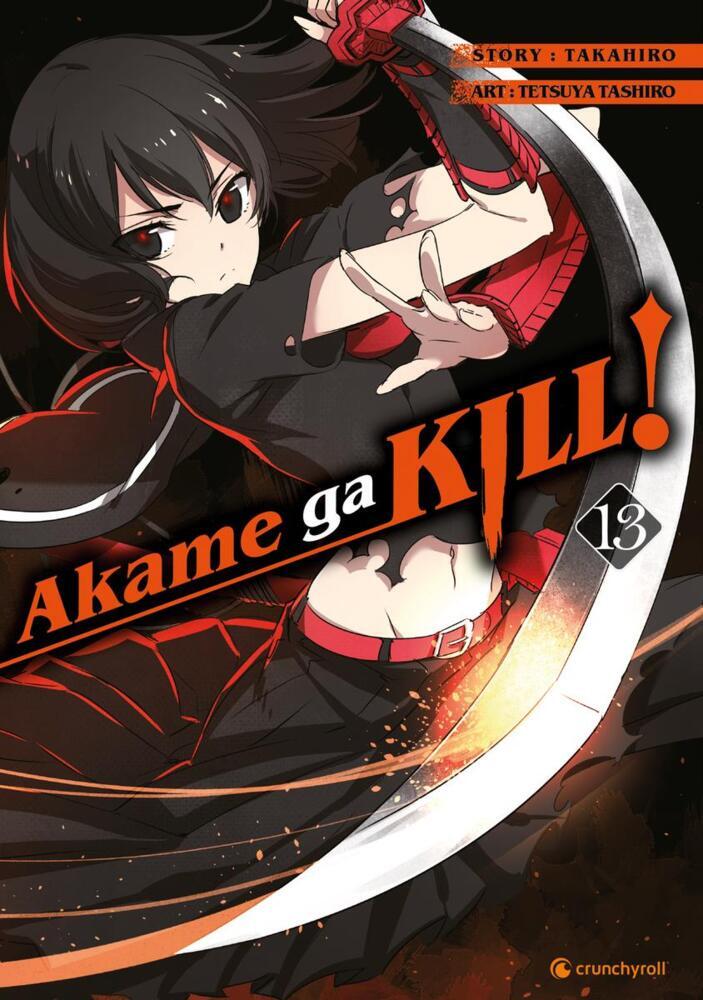 Akame ga KILL!. Bd.13 main product photo