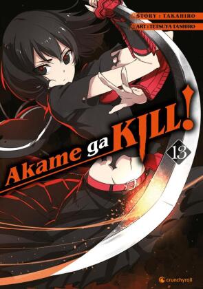 Akame ga KILL!. Bd.13