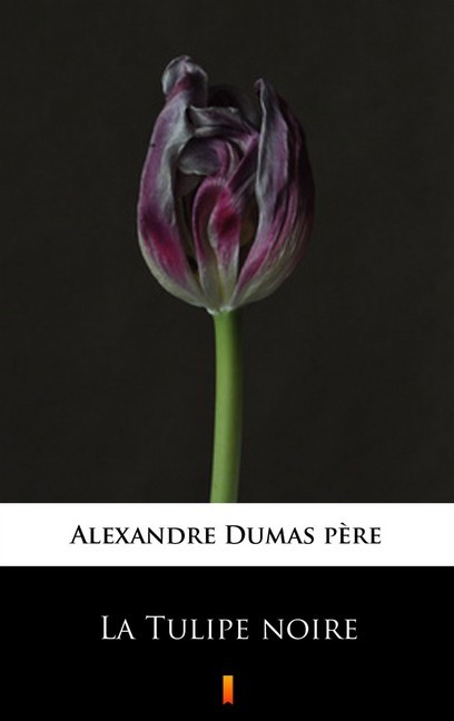 La Tulipe noire main product photo