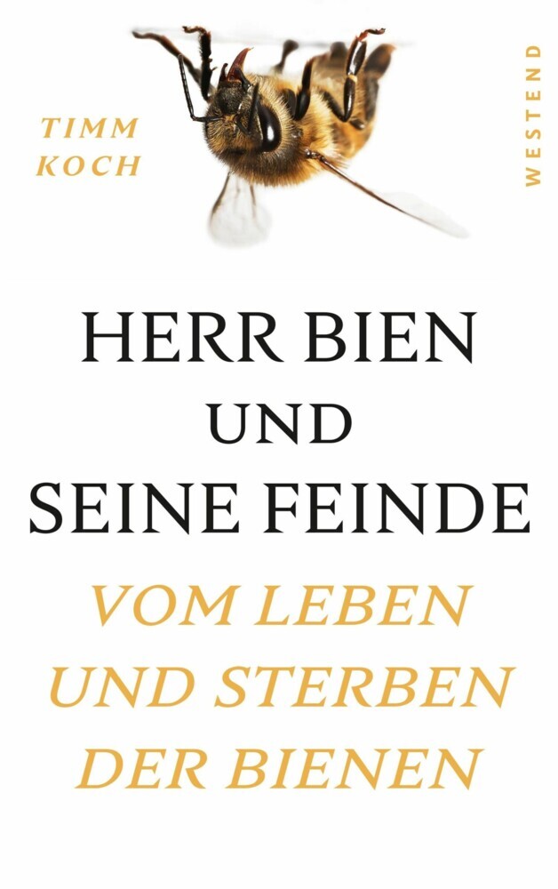 Herr Bien und seine Feinde main product photo