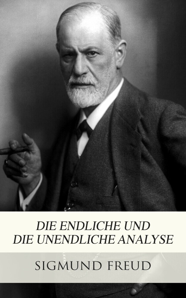 Die endliche und die unendliche Analyse main product photo