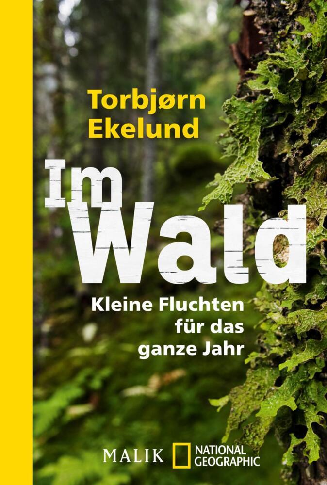 Im Wald main product photo