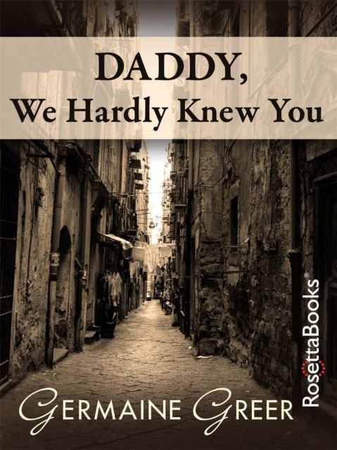 Daddy, We Hardly Knew You main product photo