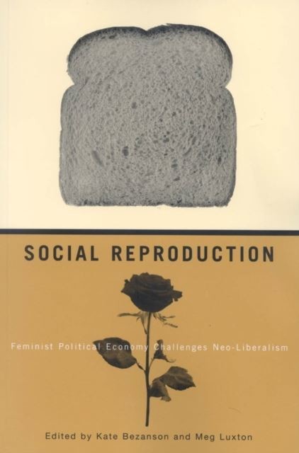 Social Reproduction main product photo