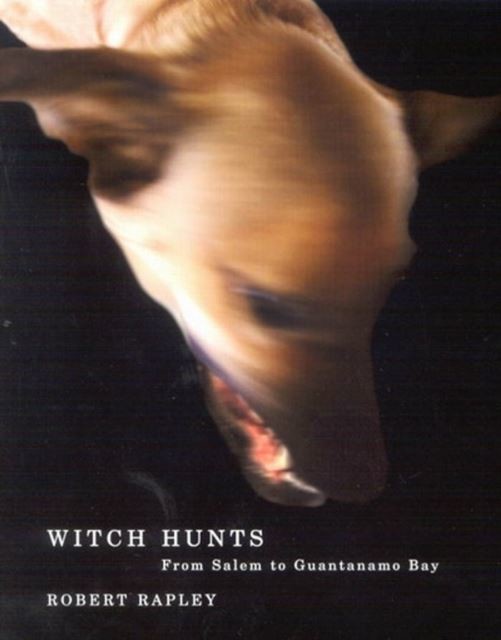 Witch Hunts main product photo