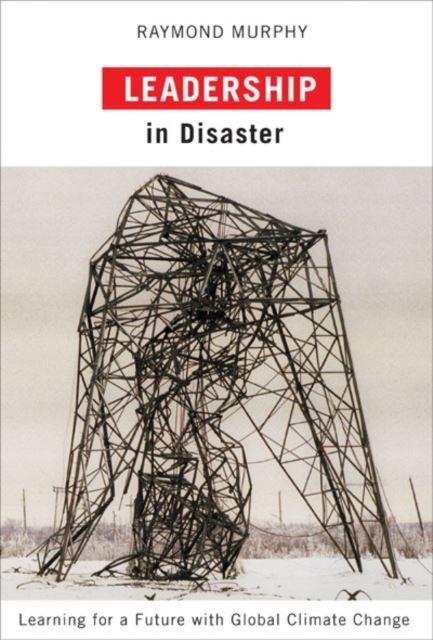 Leadership in Disaster main product photo