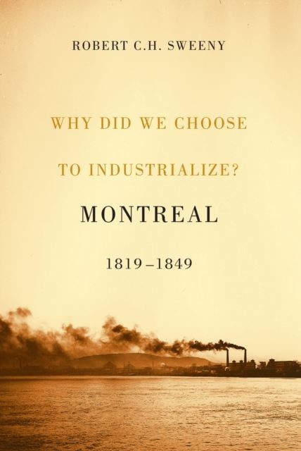Why Did We Choose to Industrialize? main product photo