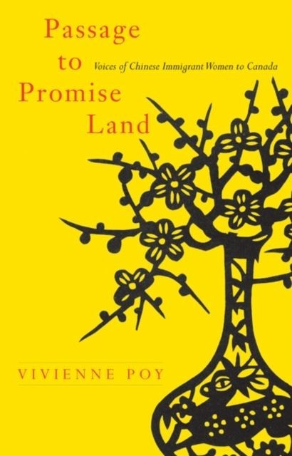 Passage to Promise Land main product photo