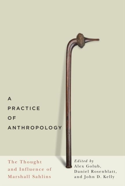 Practice of Anthropology main product photo