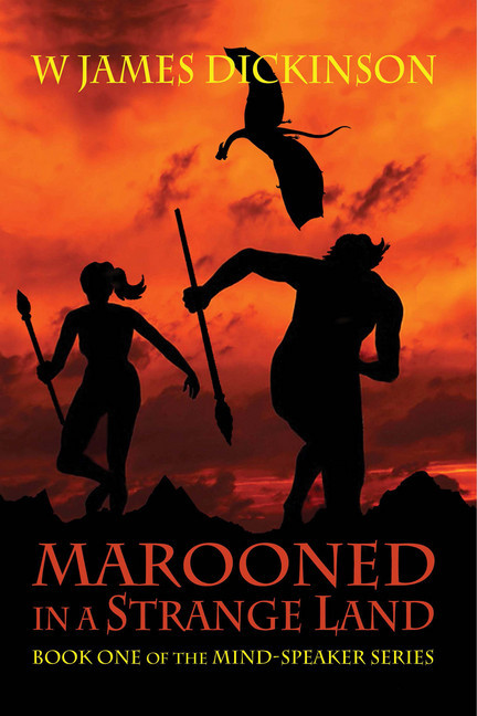 Marooned in a Strange Land main product photo