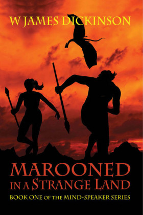 Marooned in a Strange Land
