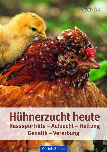 Hühnerzucht heute main product photo