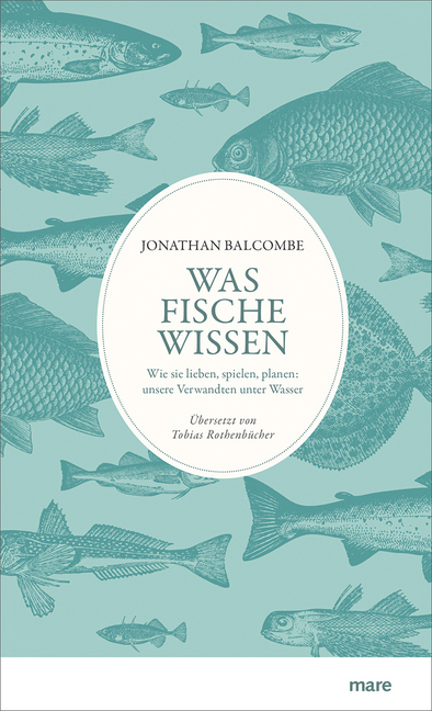 Was Fische wissen main product photo