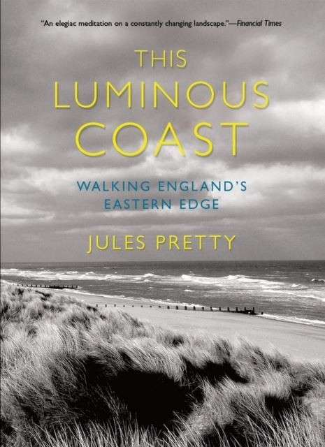 This Luminous Coast main product photo