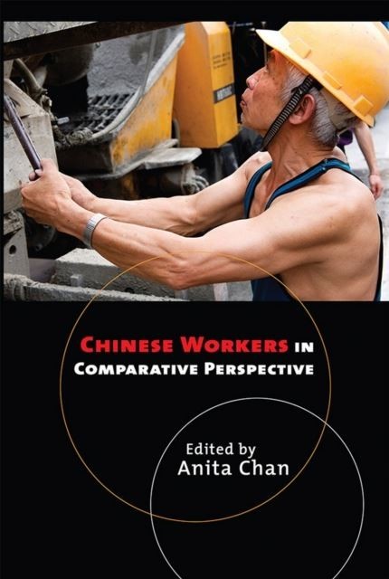 Chinese Workers in Comparative Perspective main product photo