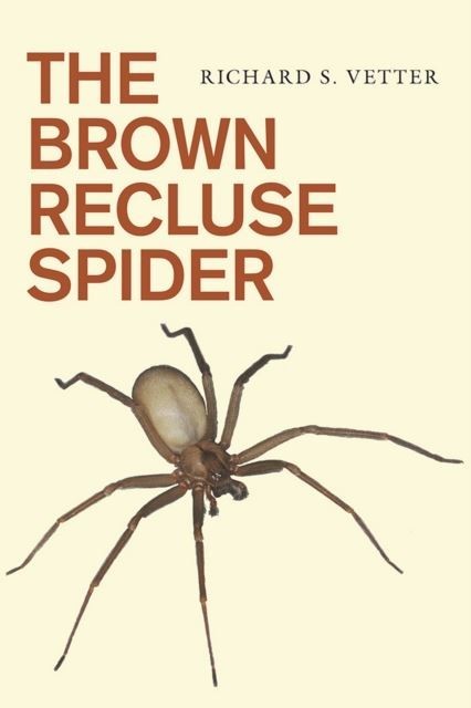 Brown Recluse Spider main product photo