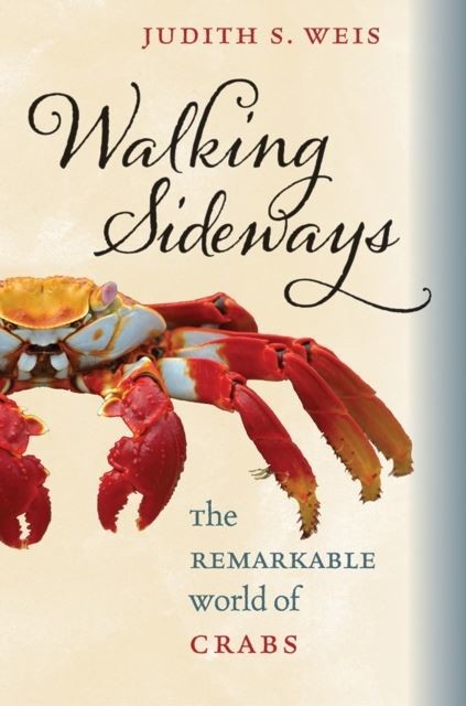 Walking Sideways main product photo