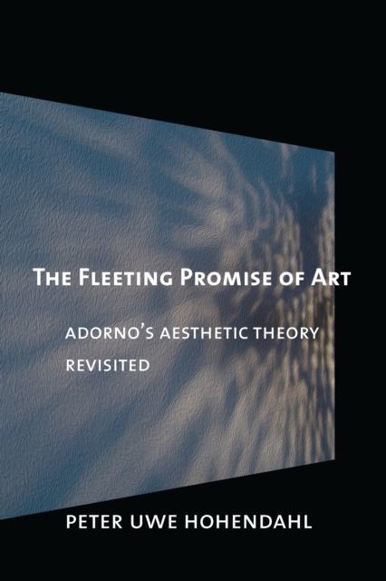 Fleeting Promise of Art main product photo