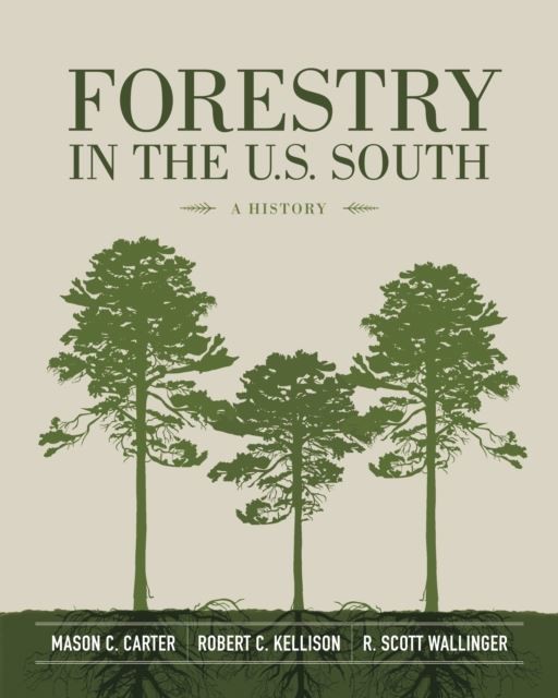 Forestry in the U.S. South main product photo