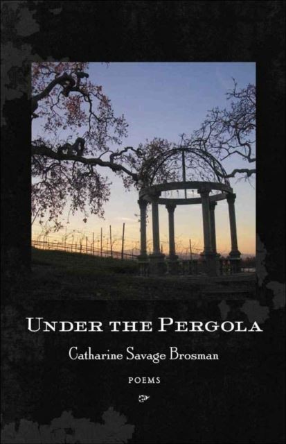 Under the Pergola main product photo
