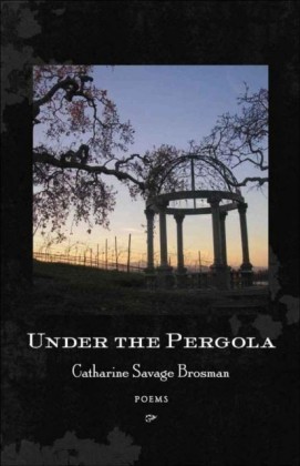 Under the Pergola