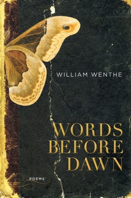 Words Before Dawn main product photo