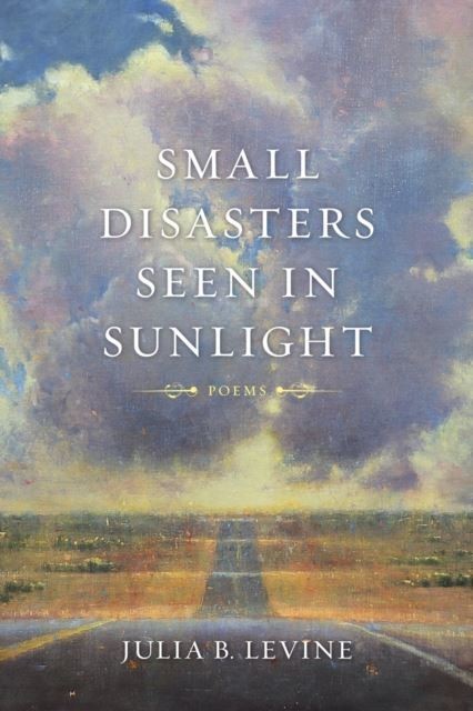 Small Disasters Seen in Sunlight main product photo