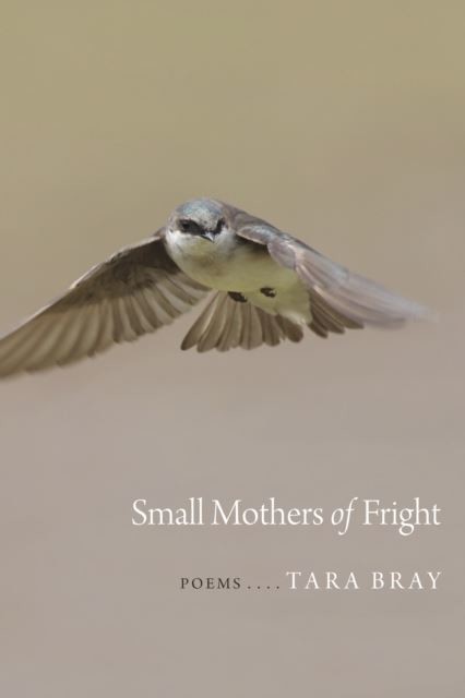 Small Mothers of Fright main product photo