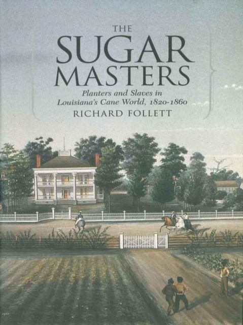 Sugar Masters main product photo