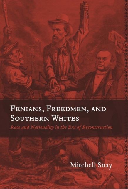 Fenians, Freedmen, and Southern Whites main product photo