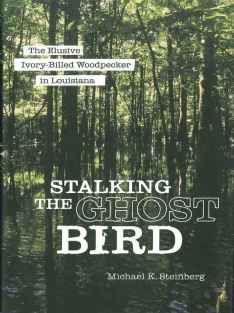 Stalking the Ghost Bird main product photo