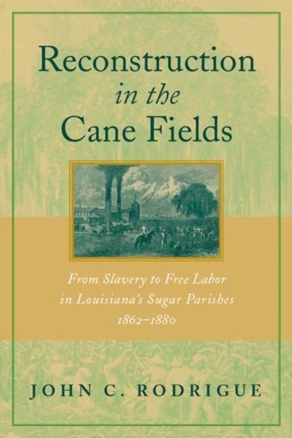 Reconstruction in the Cane Fields main product photo