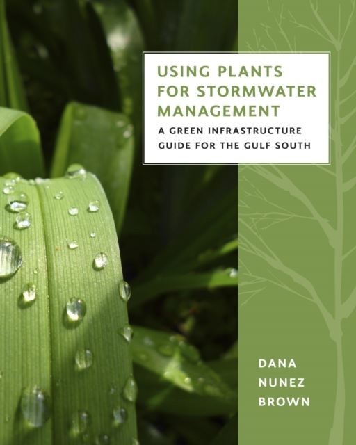 Using Plants for Stormwater Management main product photo