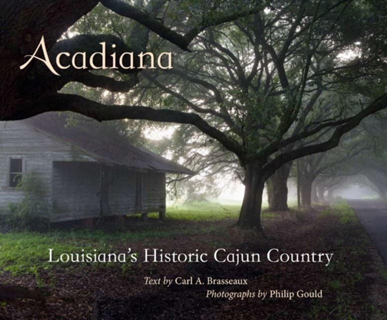 Acadiana main product photo