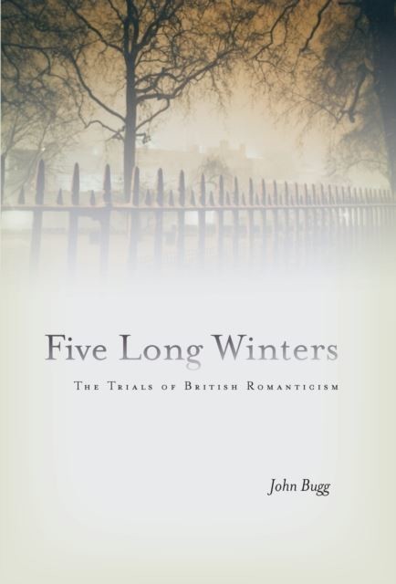 Five Long Winters main product photo