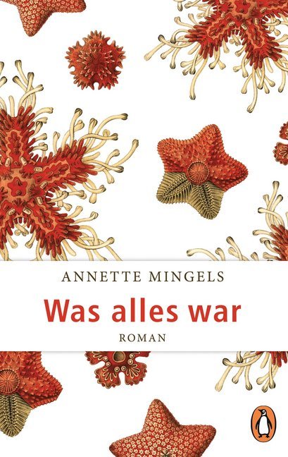 Was alles war main product photo